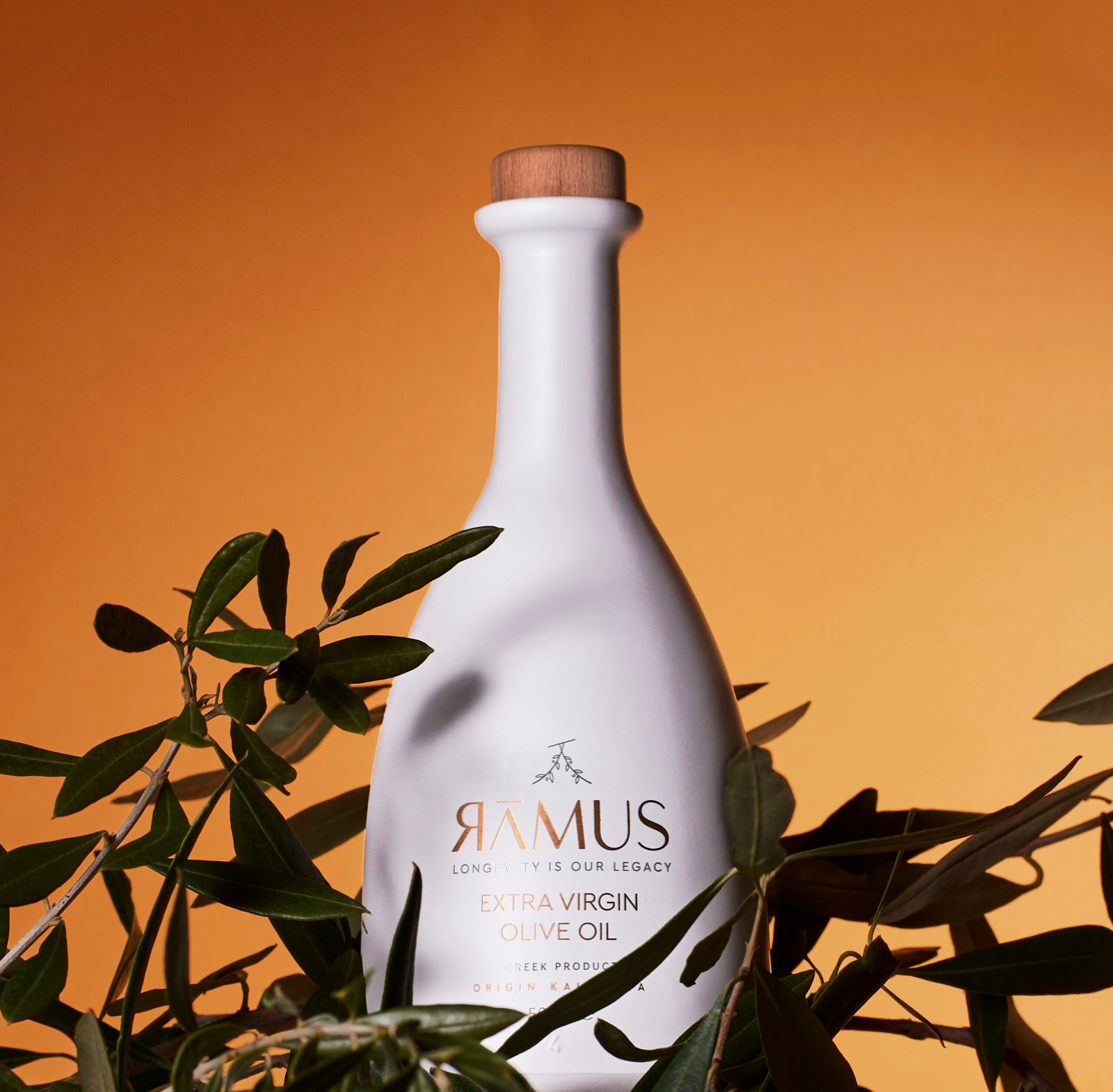 Olive Oil Portfolio Shots